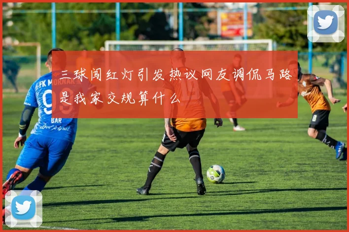 三球闯红灯引发热议网友调侃马路是我家交规算什么