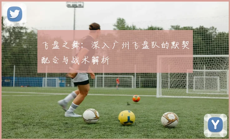 飞盘之舞：深入广州飞盘队的默契配合与战术解析