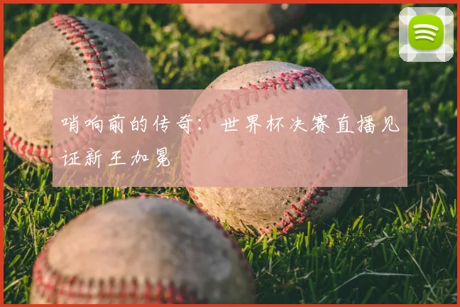 哨响前的传奇：世界杯决赛直播见证新王加冕