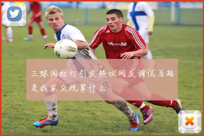 三球闯红灯引发热议网友调侃马路是我家交规算什么