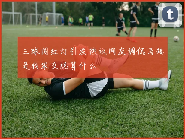 三球闯红灯引发热议网友调侃马路是我家交规算什么