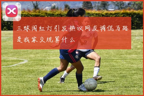 三球闯红灯引发热议网友调侃马路是我家交规算什么