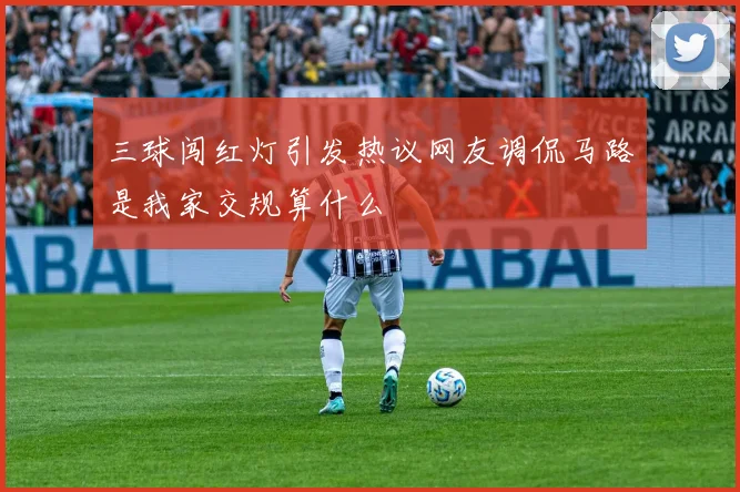 三球闯红灯引发热议网友调侃马路是我家交规算什么