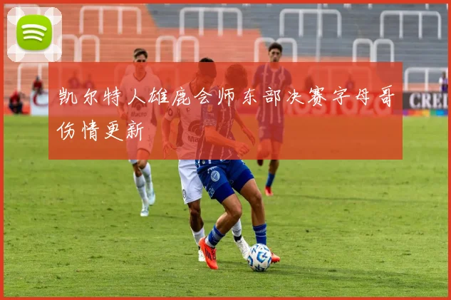 凯尔特人雄鹿会师东部决赛字母哥伤情更新