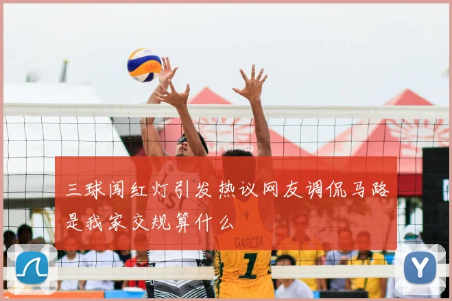 三球闯红灯引发热议网友调侃马路是我家交规算什么