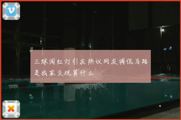 三球闯红灯引发热议网友调侃马路是我家交规算什么