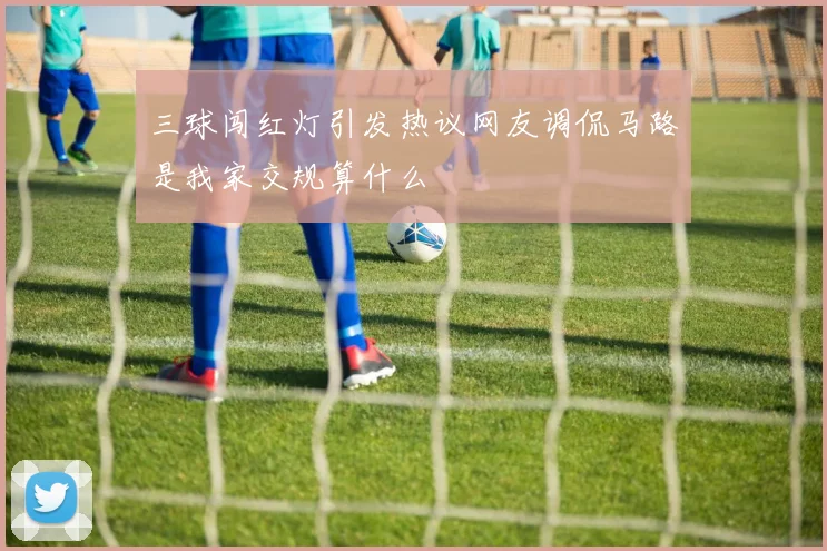 三球闯红灯引发热议网友调侃马路是我家交规算什么