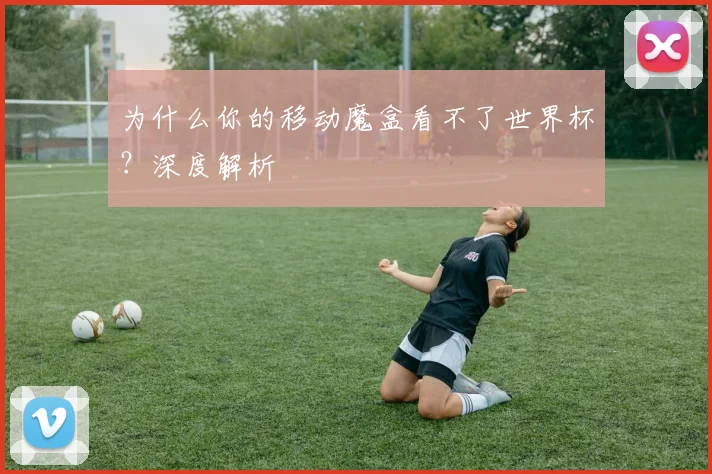 为什么你的移动魔盒看不了世界杯？深度解析