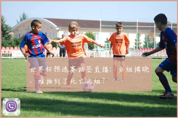 世界杯预选赛抽签直播：分组揭晓，谁抽到了死亡之组？