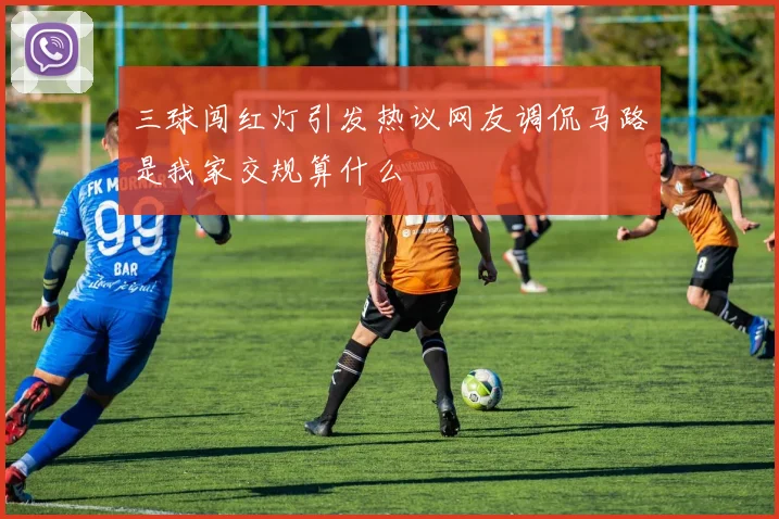 三球闯红灯引发热议网友调侃马路是我家交规算什么