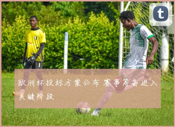 欧洲杯投标方案公布 赛事筹备进入关键阶段