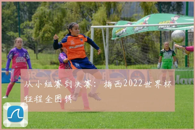 从小组赛到决赛：梅西2022世界杯征程全图辑