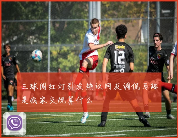 三球闯红灯引发热议网友调侃马路是我家交规算什么