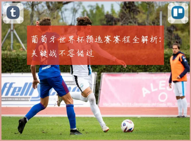 葡萄牙世界杯预选赛赛程全解析：关键战不容错过