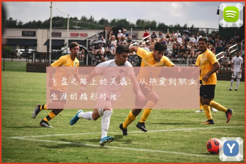 飞盘之路上的吴磊：从热爱到职业生涯的精彩对话