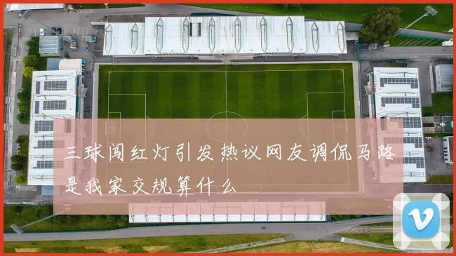 三球闯红灯引发热议网友调侃马路是我家交规算什么