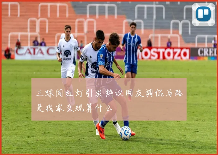 三球闯红灯引发热议网友调侃马路是我家交规算什么