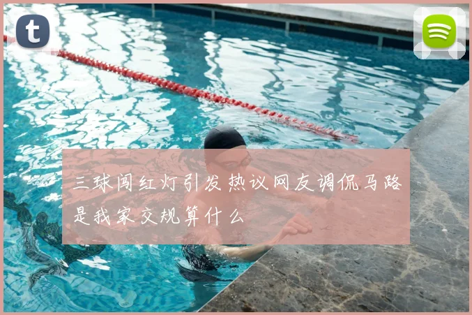 三球闯红灯引发热议网友调侃马路是我家交规算什么