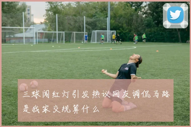 三球闯红灯引发热议网友调侃马路是我家交规算什么
