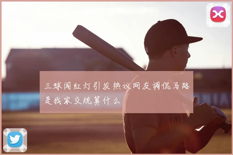 三球闯红灯引发热议网友调侃马路是我家交规算什么
