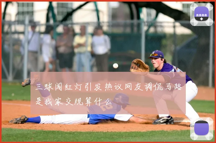 三球闯红灯引发热议网友调侃马路是我家交规算什么