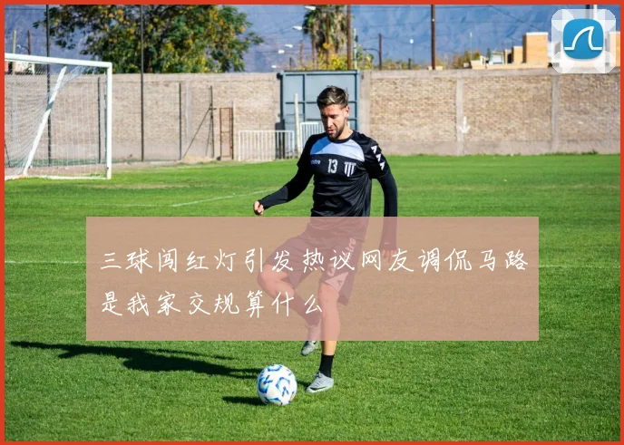 三球闯红灯引发热议网友调侃马路是我家交规算什么