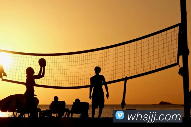 华体会体育平台生态图