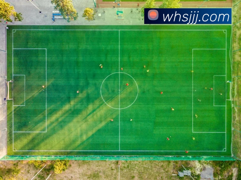 华体会体育全站App